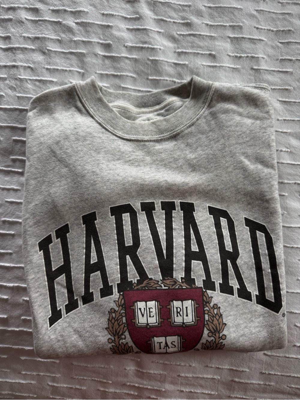 Abercrombie & Fitch Soft AF Harvard Sweatshirt